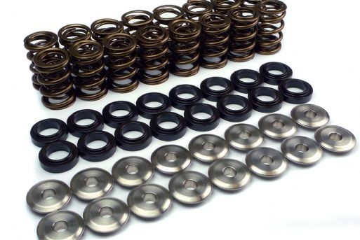 Supertech 1.8T 20V Valve Spring/Retainer Kit — image 1