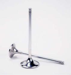 Ferrea Intake Valve Set 30v — image 1